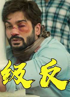 扣人心弦层层反转，价值12亿的钻石花落谁家，又一部印度悬疑佳作