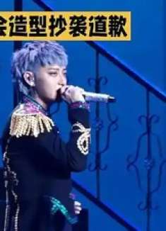 何秋因演唱会造型抄袭道歉