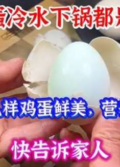 煮鸡蛋冷水下锅都是外行，多加这几样鸡蛋鲜美，营养不流失