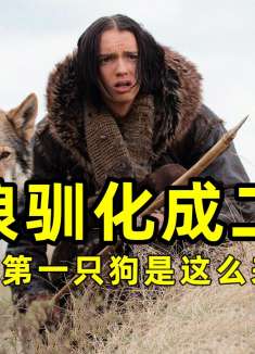 把一头狼驯化成二哈，人类的第一个只狗就是这么来的？