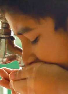 男孩的午餐，是洗手间的自来水《便当盒里的小秘密》