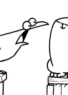 捣蛋猫遭遇劲敌？猫咪乌鸦大乱斗！