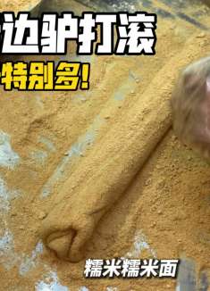 东北街边卖驴打滚的大爷特别幽默，说要是不好吃直接摔他脸上！