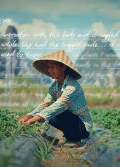 去拥有，被阳光晒透的热烈夏日