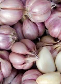 今天才知道，保存大蒜这么简单，放一年都不会发芽不干