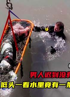 男人在码头寻找公文包，没想到水里竟漂上来一条美人鱼！《CSI》