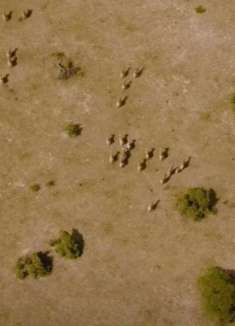 非洲美景：让人惊叹不已的美