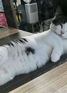 我很想知道到底是谁走漏了风声