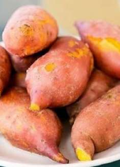 种红薯的注意事项,可惜才知道,难怪蒸的红薯不甜、不好吃