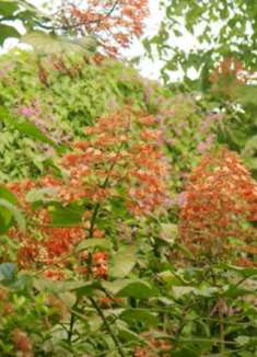 印度尼西亚巴厘岛：不容错过的美景