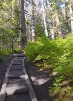 富兰克林瀑布：让人惊叹的美景