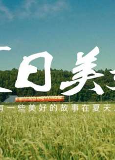 夏日混剪：总有一些美好故事将在夏天发生