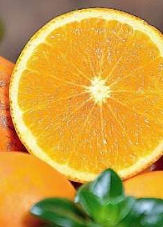 挑选橙子，一定要牢记3个窍门，甜不甜看一眼就能知道，太实用了