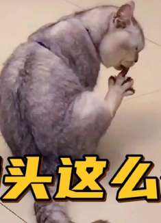 脚指头有这么香吗？你就这么喜欢脚指头