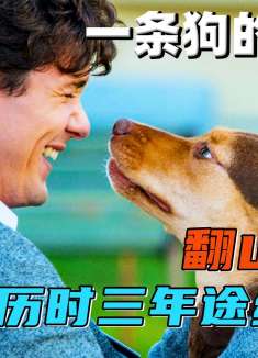 流浪狗为了寻找主人，竟养了个美洲狮儿子！《一条狗的回家路》