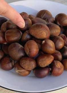 板栗好吃不好保存？这个方法最实用，放半年都不会坏，个个清甜