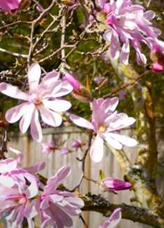 美景合集：令人惊叹的自然场景