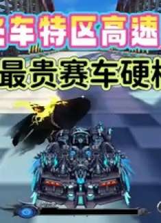 QQ飞车特区高速：史上最贵赛车硬核穿搭尽显b格，土豪的世界我不懂