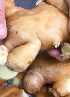 今天才知道，生姜学会这样做，保存一年都不坏，简单实用，收藏了