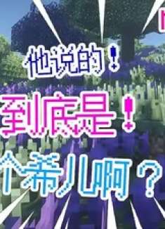 我的世界：他说的到底是哪个希儿啊？