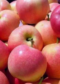 买苹果一定要分清公母，菜农教我小技巧，一挑一个准又脆又甜