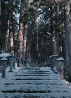 高野山奥野院：清新宁静，心旷神怡