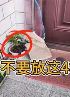 家门口尽量不要放这4样东西，有讲究，快回家看看，早懂早拿走