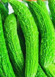 你家还在吃苦瓜吗？现在清楚还不晚，不懂会吃大亏，快叮嘱家里人