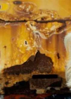 治愈冬季忧郁症的方法是：在纽约全裸