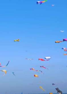 华盛顿：让人难以忘怀的美景