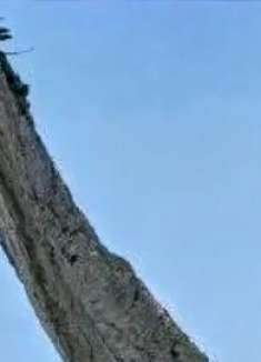 有时候不逼自己一把都不知道自己潜力有多大