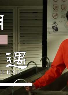 悲伤逆流成河：不期而遇，是我们缘分的开始