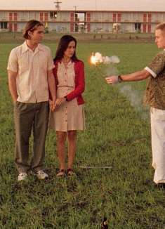 韦斯·安德森的处女作：「瓶装火箭」的风格