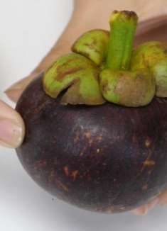 山竹好不好，看这里就知道了，学会这个技巧挑选山竹就是这么简单