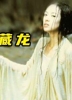 章子怡成名之作，华语片海外票房之最