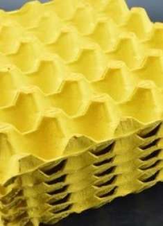 鸡蛋托盘别扔了，放家里用途真厉害，一年省不少钱，快叮嘱家里人