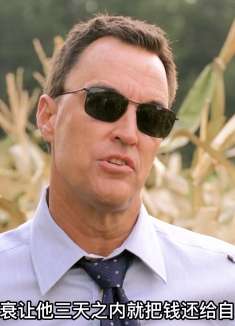 稻草人在玉米地里复活，只要跟主人有过节的都死了，惊悚片！