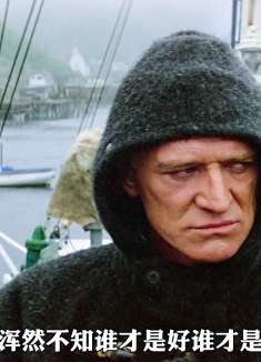 怀孕的母鲸惨遭遇害，虎鲸展开复仇之夜