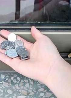 天热了，记得在窗台放“几枚硬币”，解决家家烦恼事，看完长见识