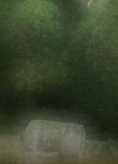 京都的庭园：芬陀院和雪舟寺