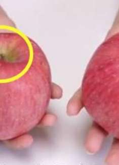 买苹果，一定要分清公母，看准这个部位，苹果一挑一个准又脆又甜