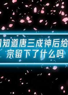唐三成神后给昊天宗留下了什么