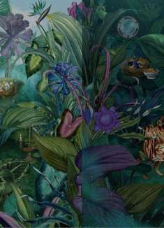 这家免税店里面的动物都是活的!