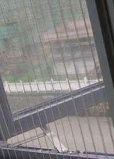 纱窗清洗很麻烦?只需水里丢点它,不用拆卸也能轻松洗净!