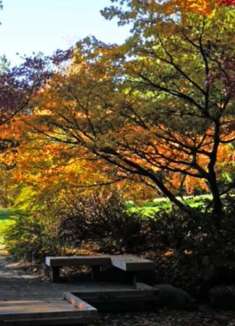 美丽西雅图：让人流连忘返的美景