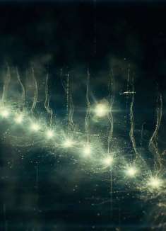 创意视觉短片：美丽的瞬间