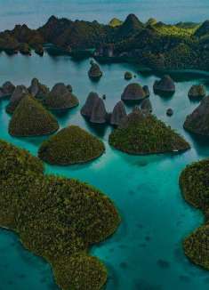 我所期待的夏日：发现天堂日记