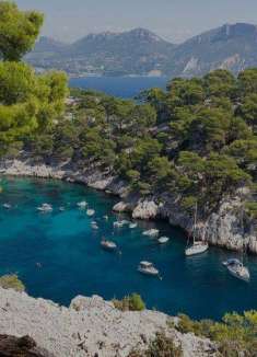 大疆无人机航拍，悬崖上的法兰西玫瑰