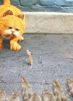 奇幻电影：橘猫好心放了一只老鼠,老鼠带了一堆兄弟回来报恩