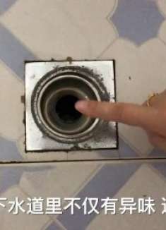 藿香正气水倒在下水道里，没想到这么神奇，既简洁又实用